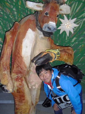 swiss cow