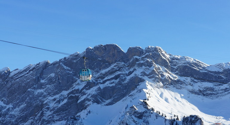 Description de l'image