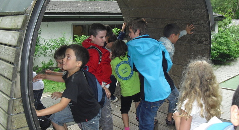 Description de l'image
