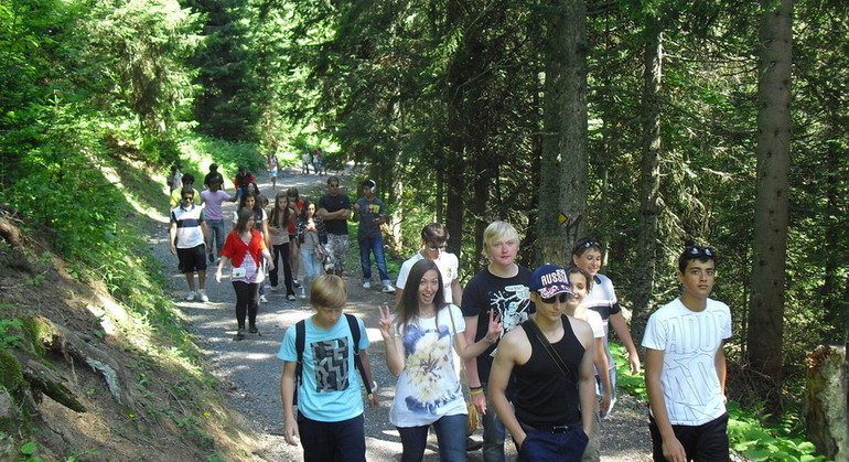 Description de l'image