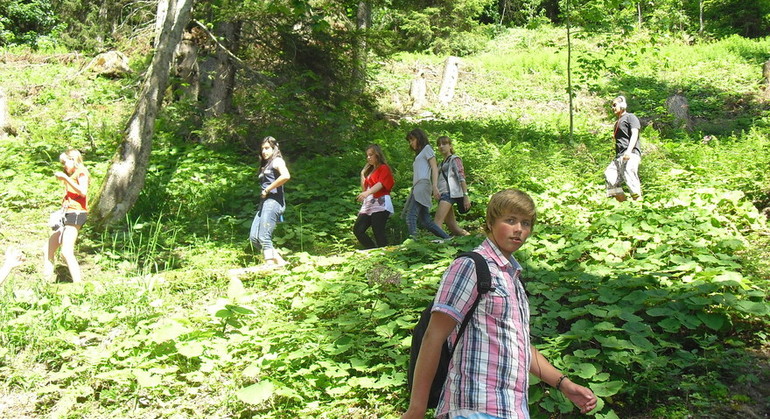Description de l'image