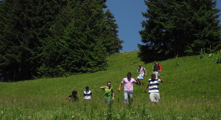 Description de l'image