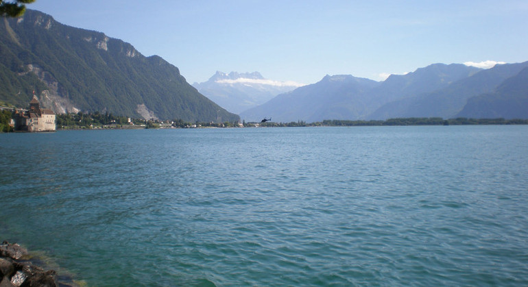 Description de l'image