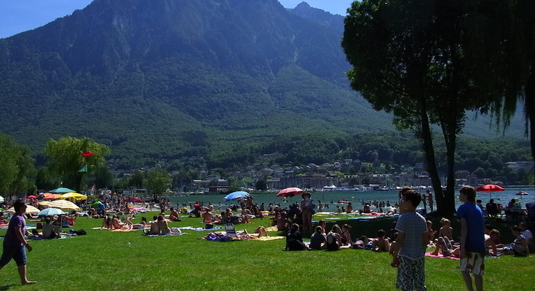 Description de l'image