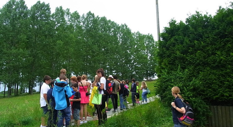 Description de l'image