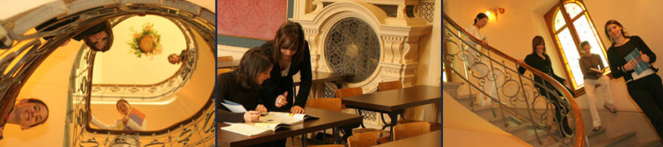 Description de l'image