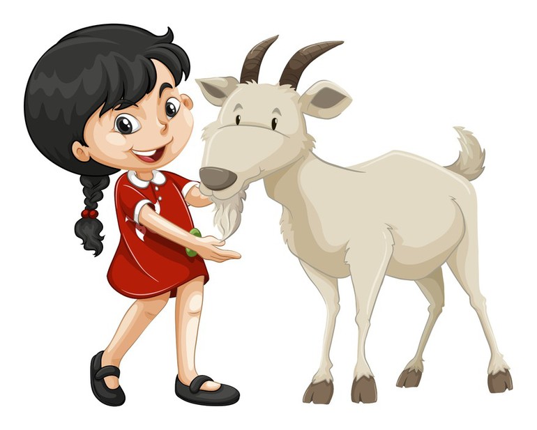 Heidi's Swiss Secrets