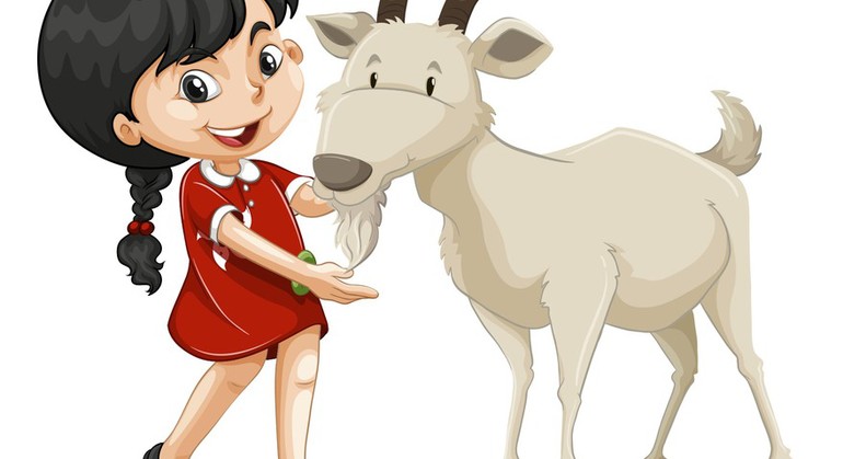 Nouveau cours de vacances: 'Heidi's Swiss Secrets'